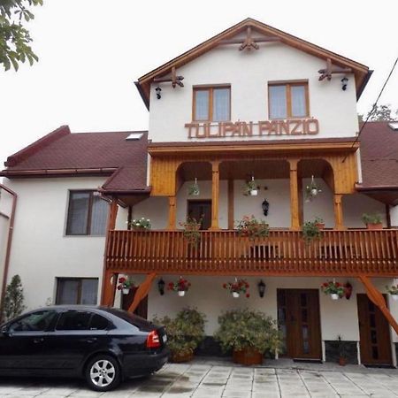 Tulipan Panzio Sfântu Gheorghe Exterior foto